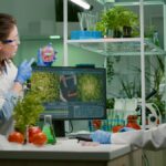 A ciência por trás dos alimentos orgânicos