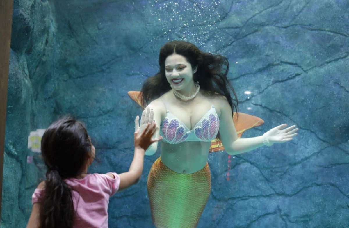 Sereia encantando crianças no aquário de São Paulo