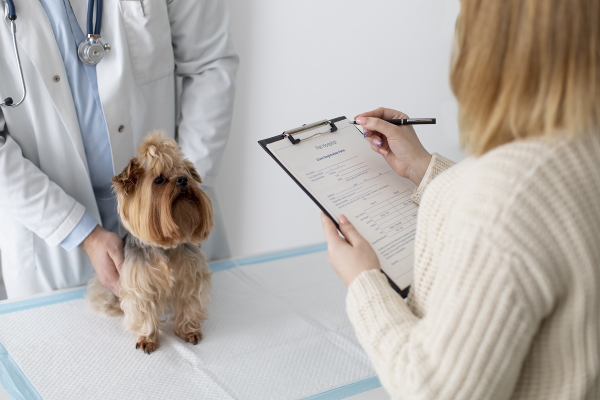 Veterinária fazendo ficha médica de cachorro